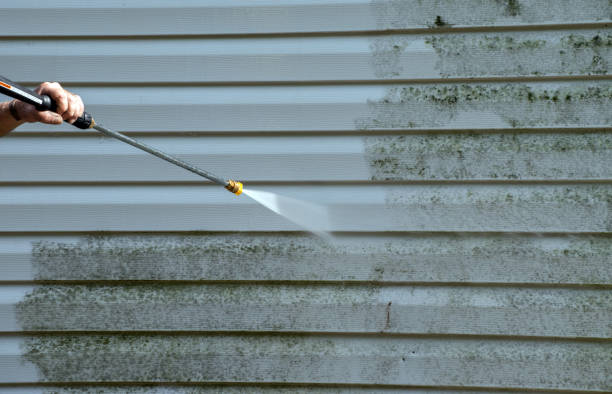 Best Exterior Home Cleaning  in Parkers Prairie, MN