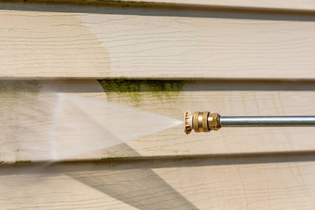 Best House Pressure Washing  in Parkers Prairie, MN