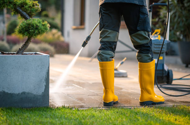 Best Best Pressure Washing Companies  in Parkers Prairie, MN